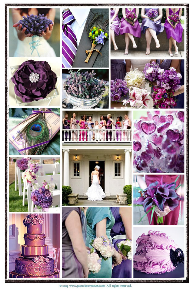 Bridal Inspiration Board Peacocks and Feathers