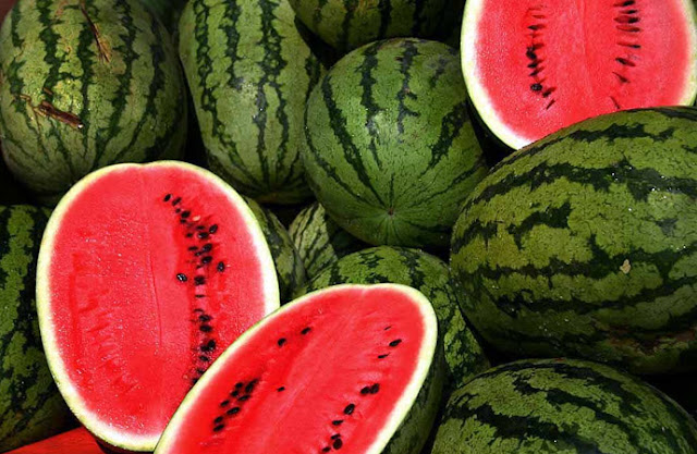 Juan Magsasaka Watermelon Guide