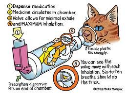 URI (Upper Respiratory Infection) - Selsema/Flu/Asthma 