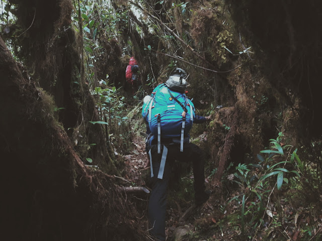 Pendakian Gunung Bawang 1471