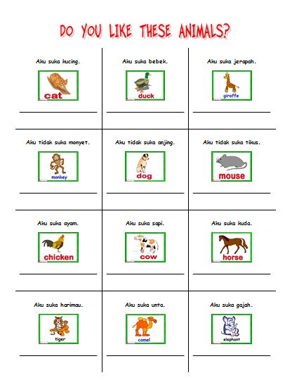 Gambar Materi Bahasa Inggris Sd Kelas 3 Animals Kumpulan 