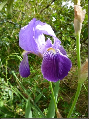 P1060942