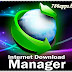 Internet Download Manager 6.21 Build 18