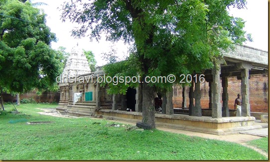 DSC05990