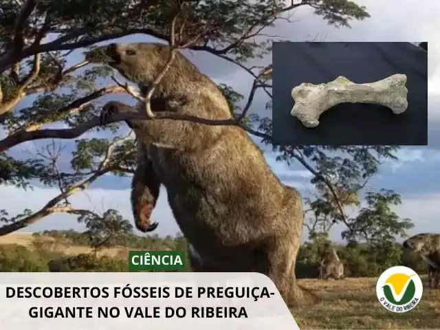 Descobertos Fósseis de Preguiça-Gigante no Vale do Ribeira - Pesquisadores da USP Catalogam Achados