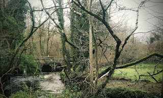 The Camel trail Bodmin to Wenfordbridge