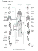 autonomic