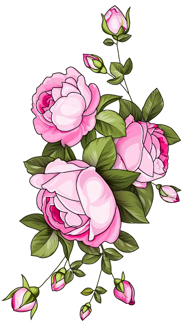 "Elegant rose with delicate petals in full bloom, showcasing timeless floral beauty."