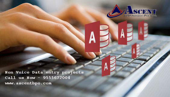 Non voice data entry projects