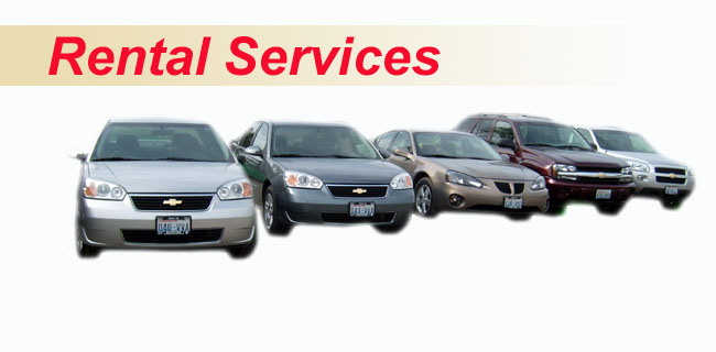 Rental Cars