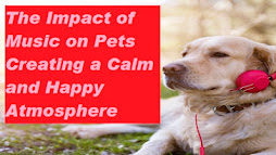 The Impact of Music on Pets Creating a Calm and Happy Atmosphere