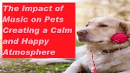 The Impact of Music on Pets Creating a Calm and Happy Atmosphere