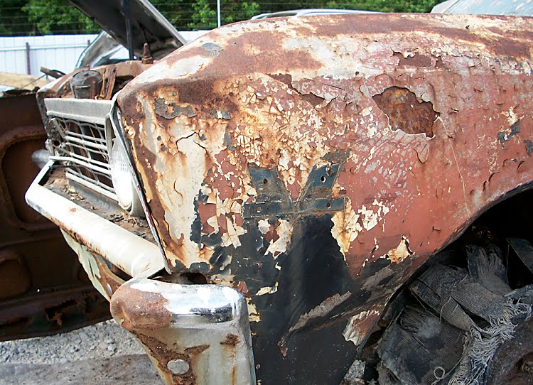 A reader from Mobile Alabama sent photos of this rusty abused muscle car