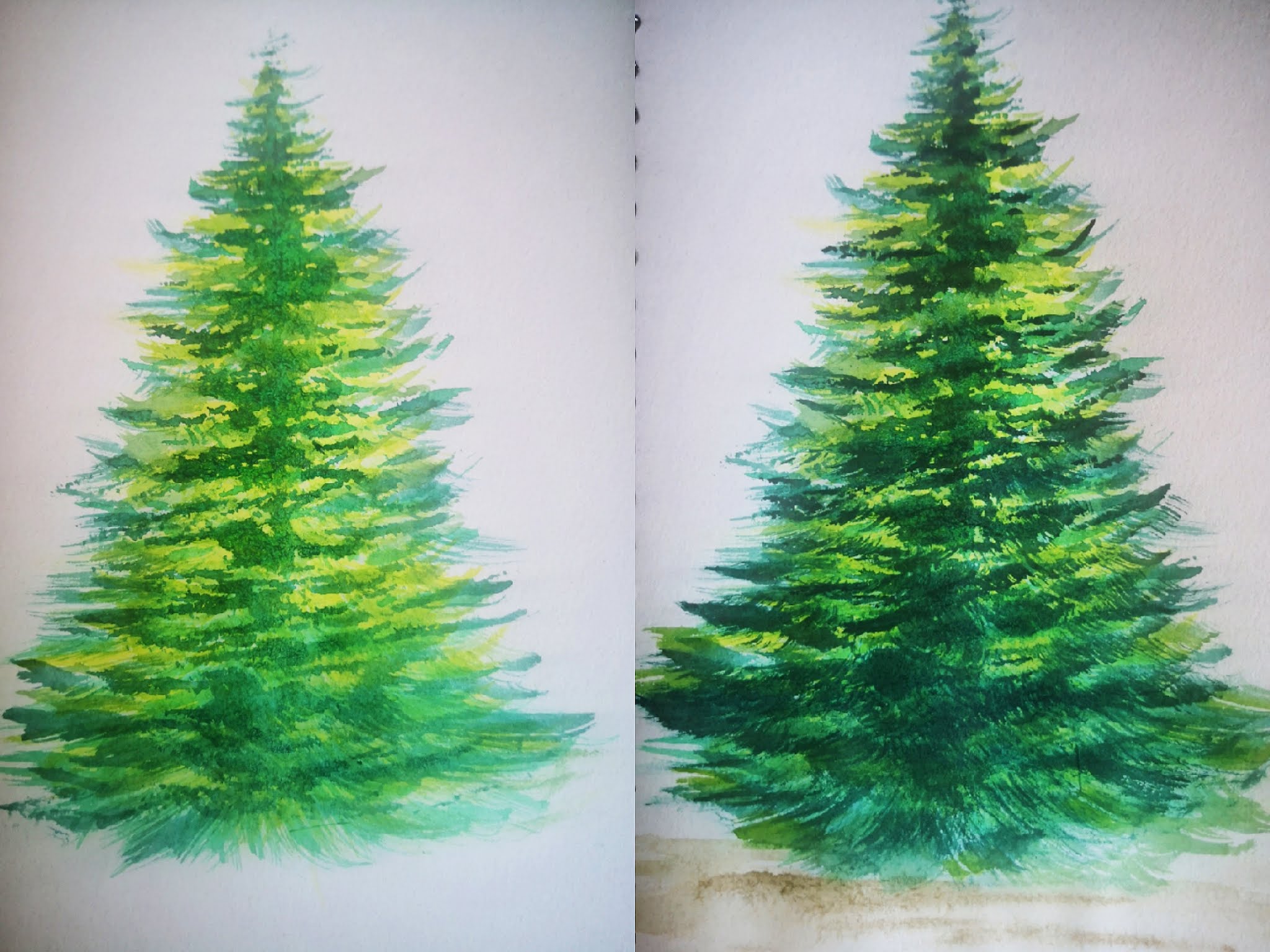 How to Draw a pine tree in watercolor. Best ideas for drawing tutorial tree step by step​