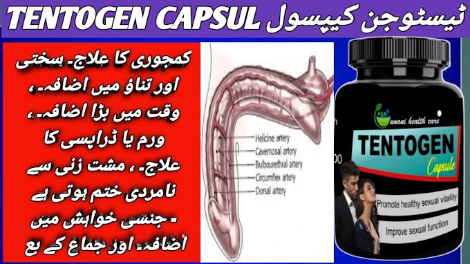 TENTOGEN CAPSUL