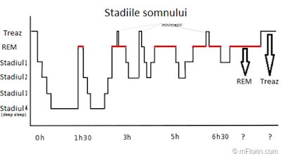 stadiile somnului