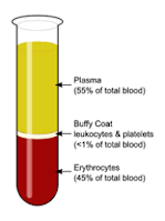 blood plasma