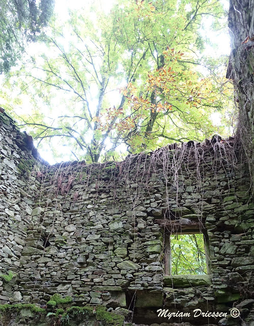 ruins in the Black Mountain South of France