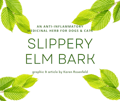 Slippery Elm Bark herb for dogs and cats