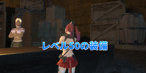 レベル50になったら装備を整えよう いまさら攻略ff14 レベル50になったら装備を整えよう いまさら攻略ff14