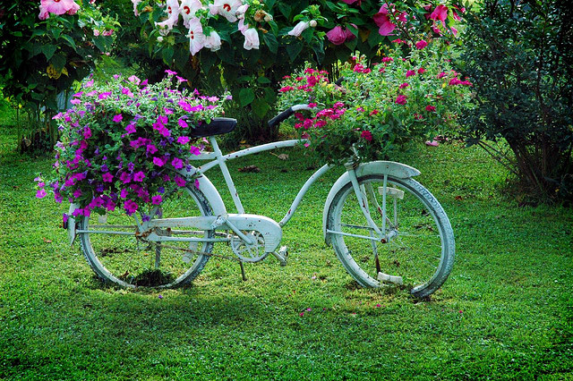 15 fotos de bicicletas com lindas floreiras