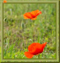 Foussignac-04-05-2015-10-00