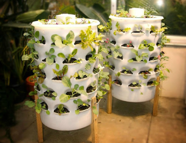 Garden Tower: 50 plantas em pouco mais de 1 m2