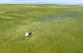 Pantai Dengan Pasir Paling Unik Di Dunia