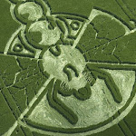 gambar crop circle, foto crop circle, alien, ufo, lingkaran tanaman, www.digaleri.com