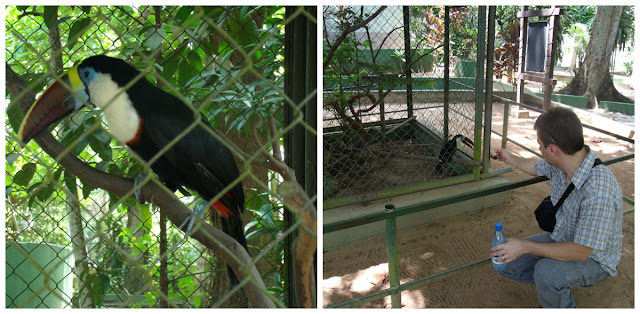 Manaus | Vale a pena uma visita ao Zoológico do CIGS?