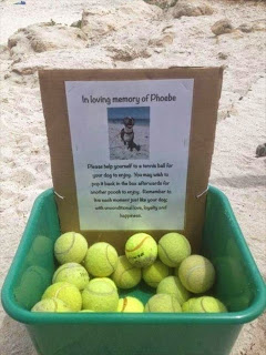 Box with Tennis balls and sign in memory of dog, Phoebe.