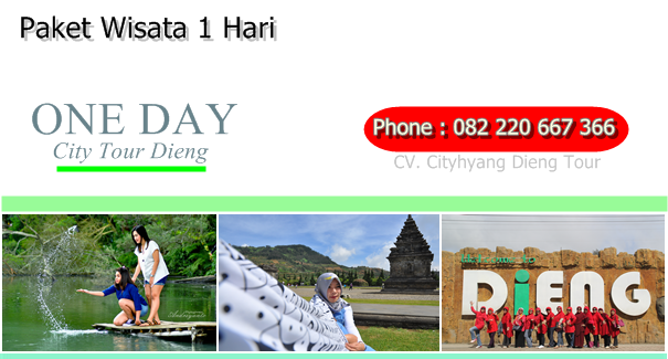 City Tour Dieng paket one day rombongan dieng