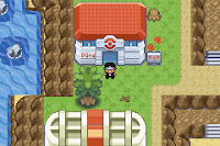 Pokemon Fire Black Screenshot 00