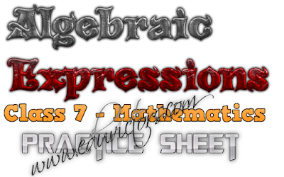 CBSE Class 7 - Maths - Algebraic Expressions - Practice Sheet (#cbseNotes)