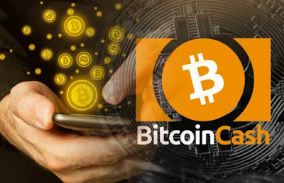 Bitcoin Cash (BCH) has Been Struggling to rise