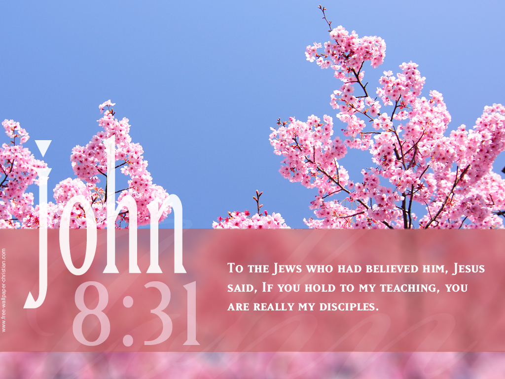 Free Christian Wallpapers Bible Quotes With Background Afalchi Free images wallpape [afalchi.blogspot.com]