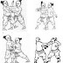 Karate in Okinawa Prefecture
