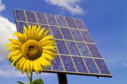 Solar Company Announces Three Florida Projects