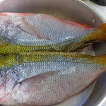 Resepi Paprik Ayam Tanpa Sos
