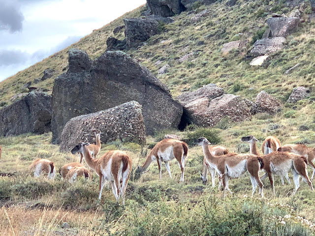 Roteiros de 5 dias na Patagônia Chilena