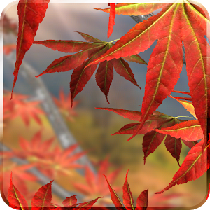 android wallpaper autumn