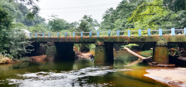 kuttiady forest, rk nadapuram