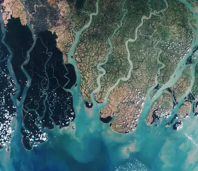 How Sundarbans delta formed