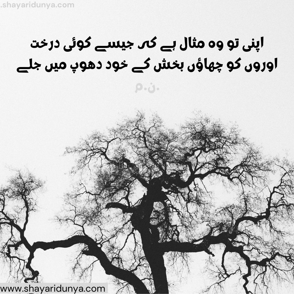 Top darakht Shayari |darakht Poetry | shayari on trees in urdu | shayari on trees in urdu | Tree Shayari Urdu