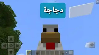 تحميل مود التحول لماين كرافت الجوال الاصدار الجديد mod 1.19