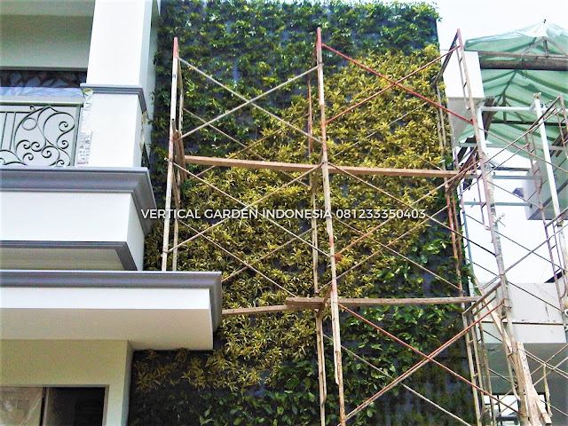 VERTICAL GARDEN INDONESIA SPESIALIS JASA PEMBUATAN VERTICAL GARDEN DI KEDIRI DAN DI SELURUH WILAYAH KEDIRI DENGAN TENAGA YANG PROFESIONAL DAN DAPAT DI PERCAYA YANG SELALU MENGUTAMAKAN SEBUAH MUTU DAN KUALITAS PEMASANGAN VERTICAL GARDEN/TAMAN DINDING, JASA TUKANG TAMAN VERTICAL KEDIRI, JASA VERTICAL GARDEN KEDIRI