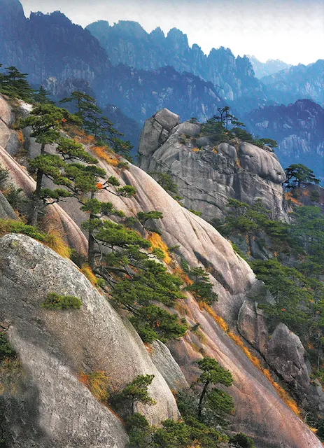 YELLOW MOUNTAIN YELLOW MOUNTAIN