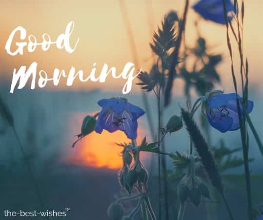 good morning monday images download