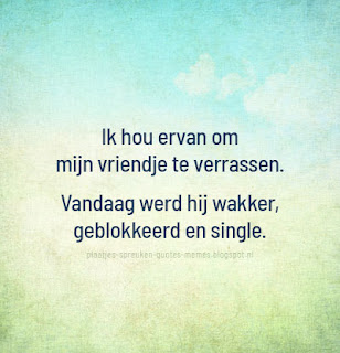 quotes in het nederlands