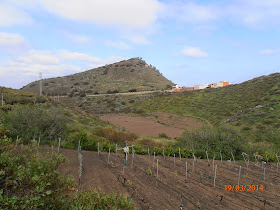 Pico de Bandama y Hoya del Alcalde